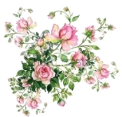 ioi0 (14) (178x170, 57Kb)