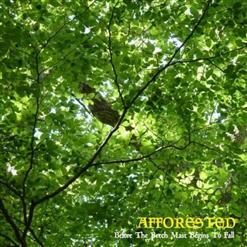 Afforested - Before The Beech Mast Begins To Fall (2020)