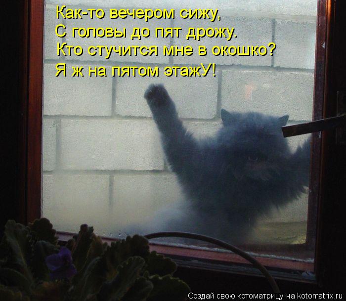 Выйдя рано утром на балкон я увидел. Кот пришел домой. Кот стучится в окно. Кот стучится в балкон.